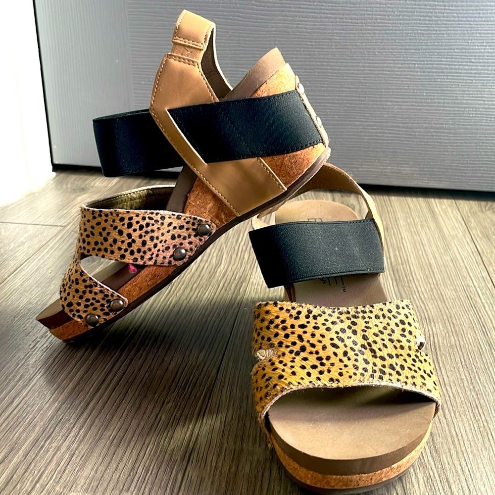 Size 6 Boutique by Corkys
